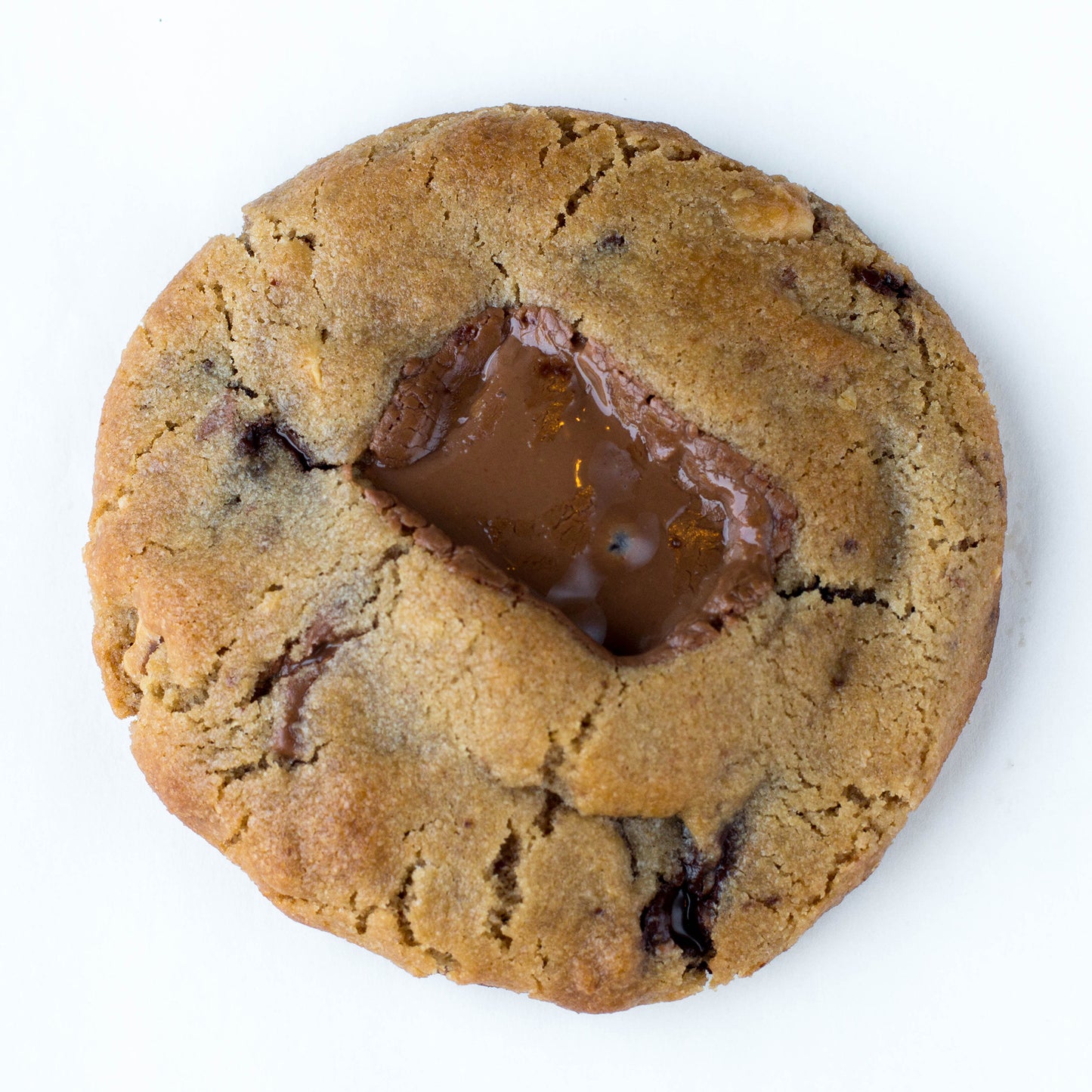Hazelnut & Gianduja Cookies